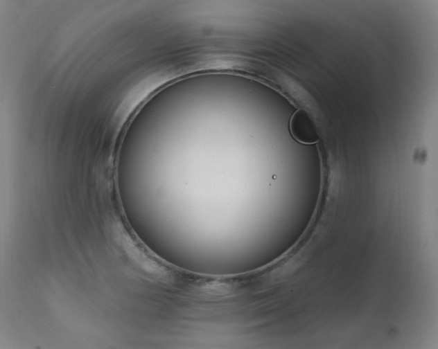 X0000111461178200907131448