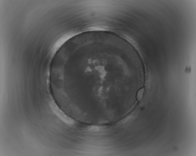 X0000111461179200907131448