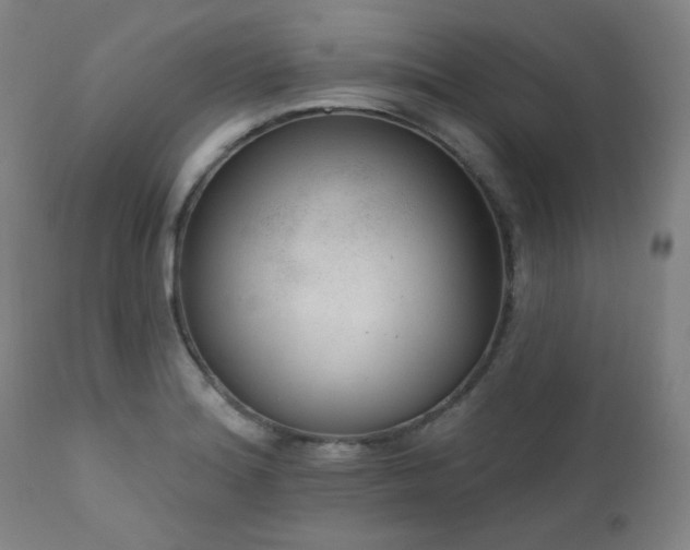 X0000111461180200907131447