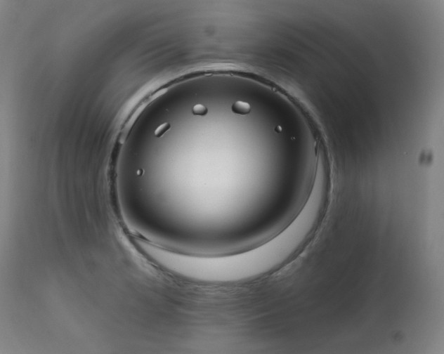 X0000111461181200907131447