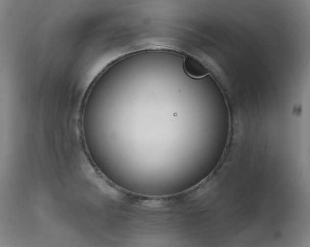 X0000111461182200907131447