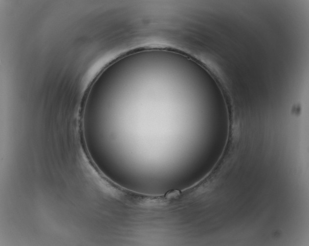 X0000111461183200907131447