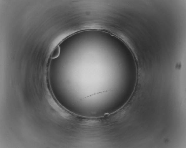 X0000111461187200907131447