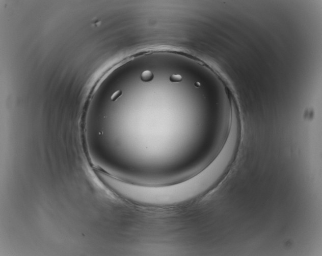 X0000111461189200907131447