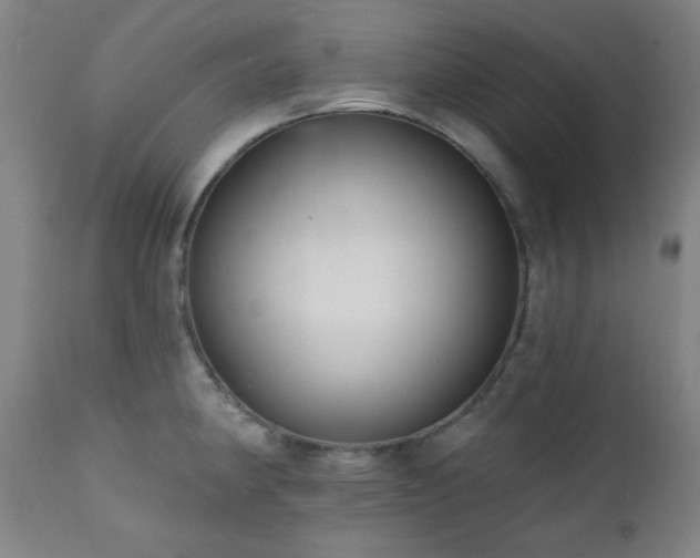 X0000111461190200907131447