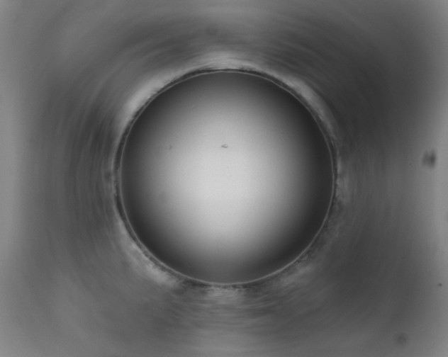 X0000111461191200907131447