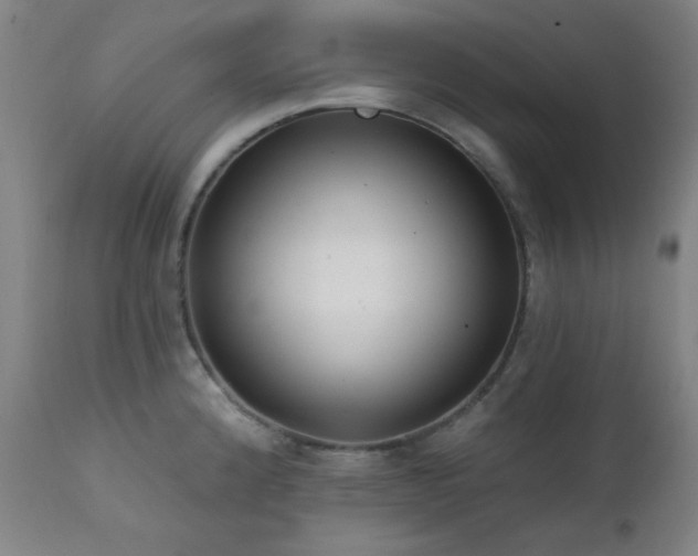 X0000111461192200907131447