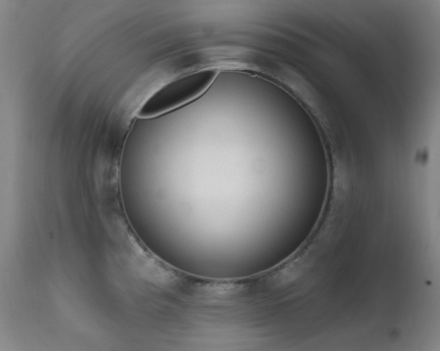 X0000111461193200907131447