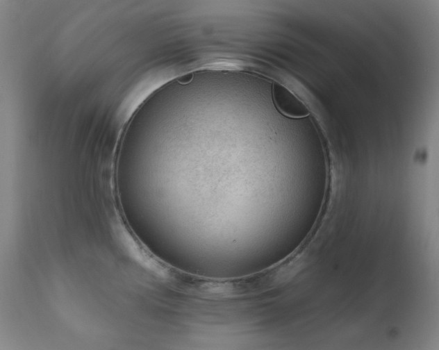 X0000111461194200907131447
