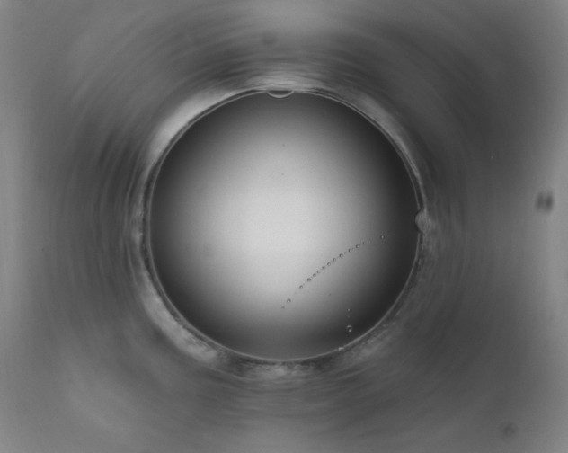 X0000111461195200907131447
