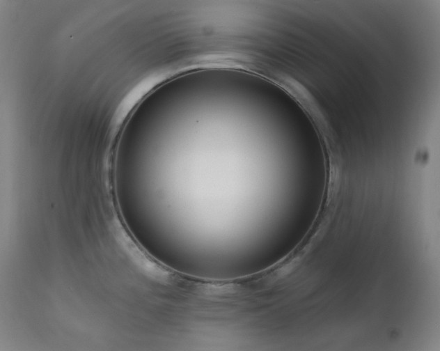 X0000111461196200907131447
