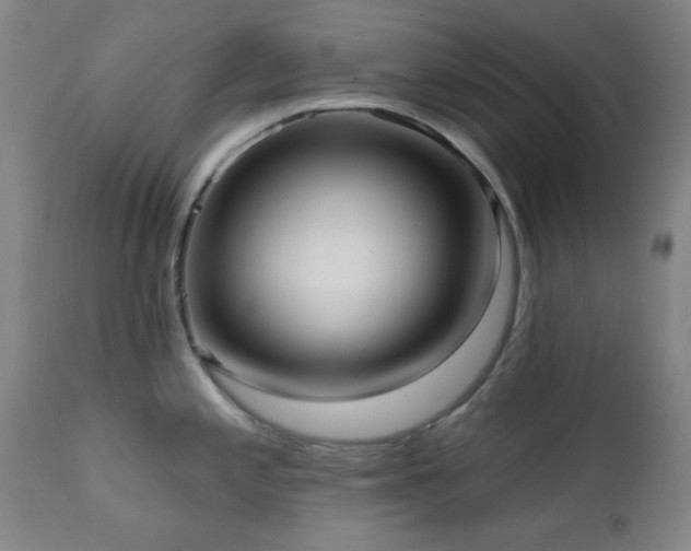 X0000111461197200907131447