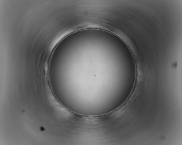X0000111461198200907131447