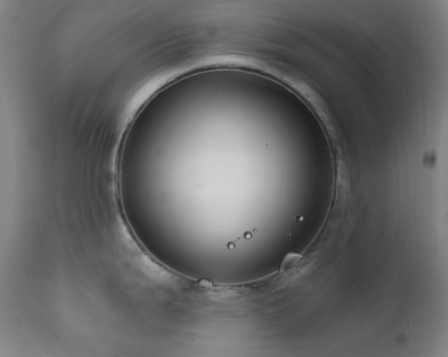 X0000111461199200907131447
