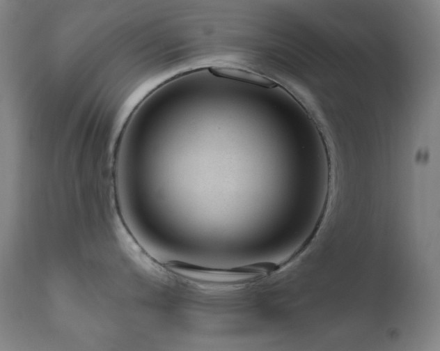 X0000111461200200907131447