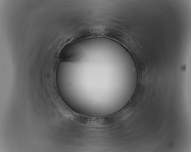 X0000111461201200907131446