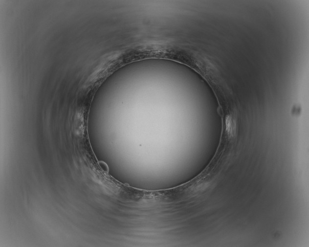 X0000111461203200907131446