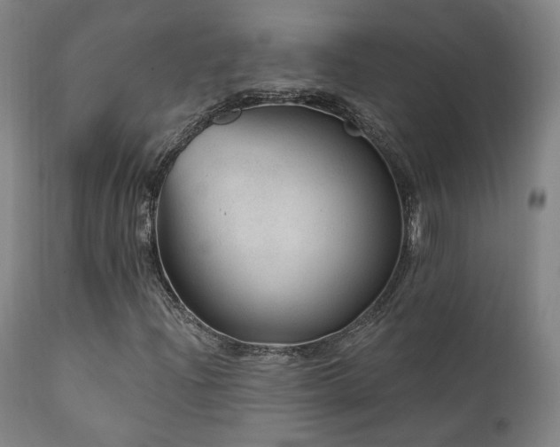 X0000111461204200907131446