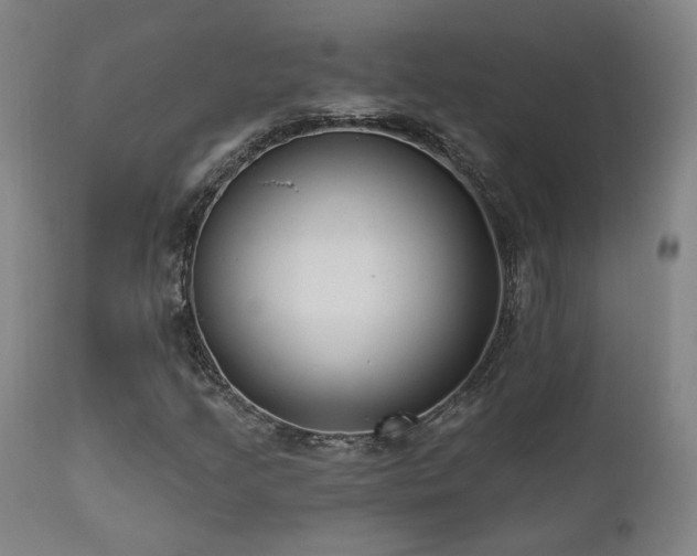 X0000111461205200907131446