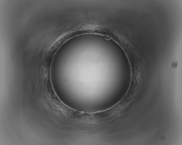 X0000111461206200907131446