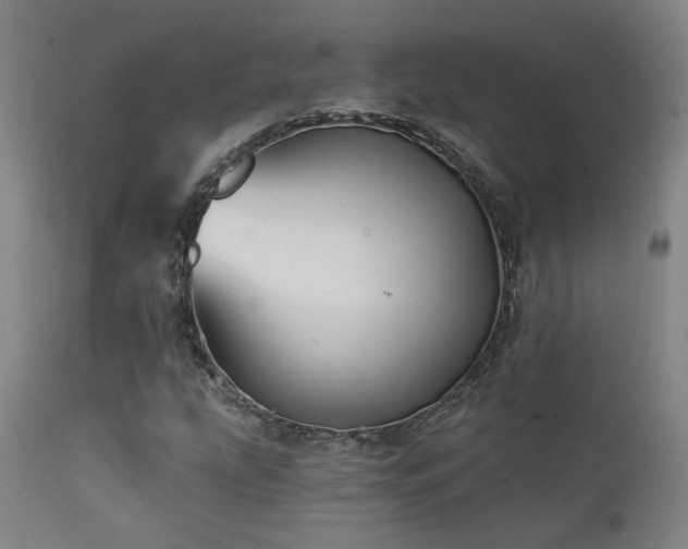 X0000111461207200907131446