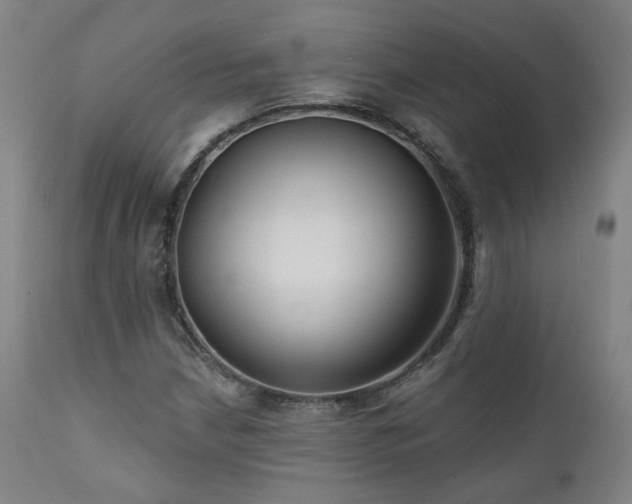 X0000111461210200907131447