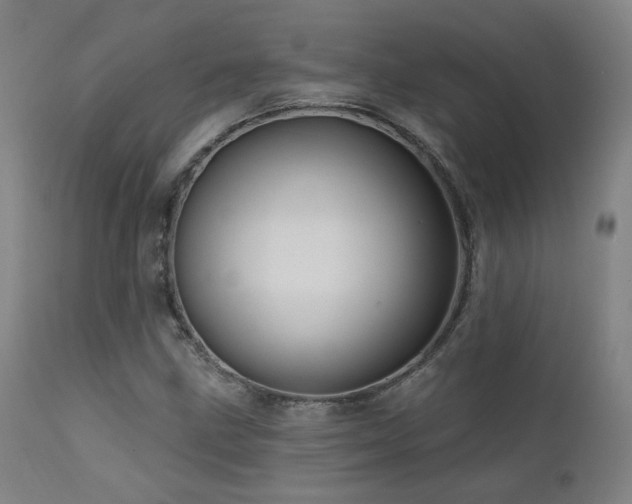 X0000111461211200907131447