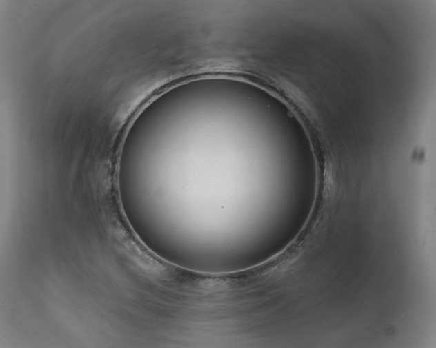 X0000111461212200907131447