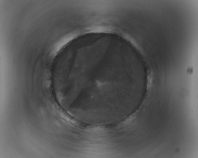 X0000111461213200907131447