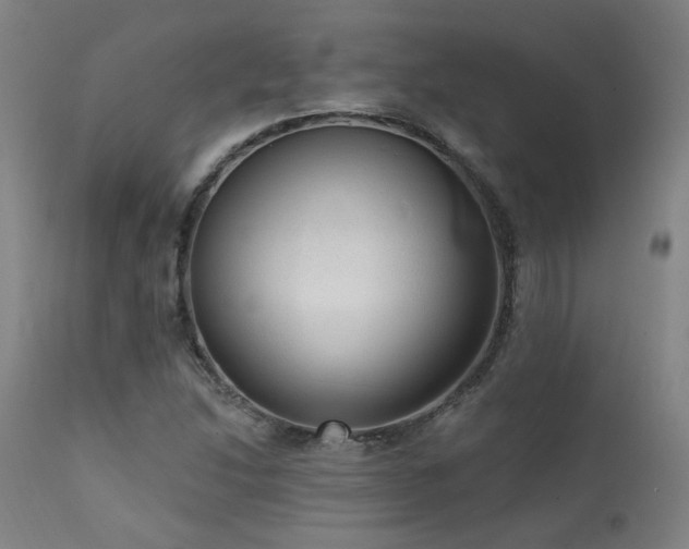 X0000111461214200907131447