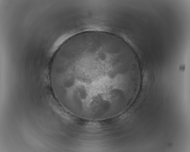 X0000111461215200907131447