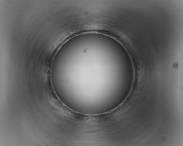 X0000111461217200907131447