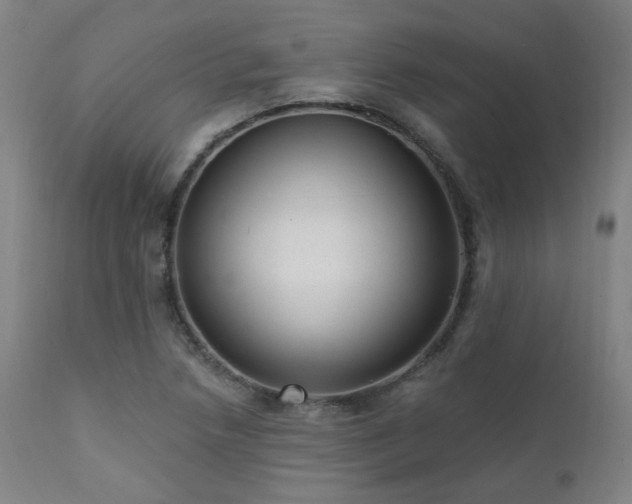 X0000111461218200907131447