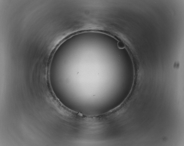 X0000111461220200907131447