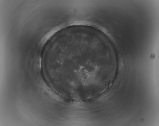 X0000111461221200907131447