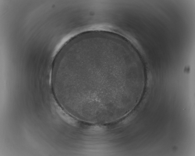 X0000111461224200907131447