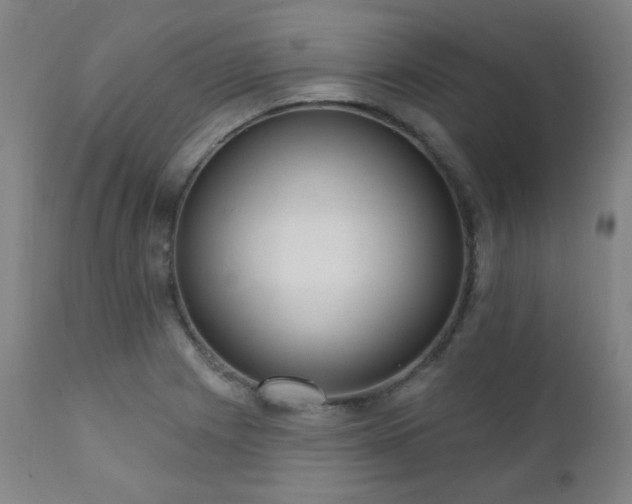 X0000111461225200907131447