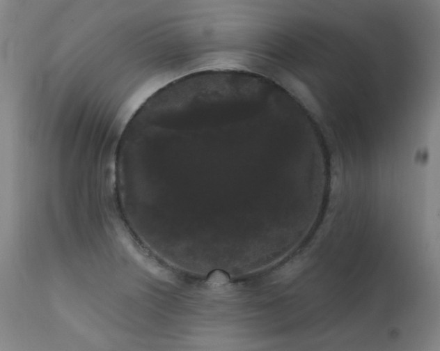 X0000111461226200907131447