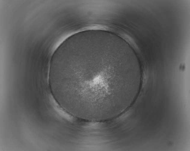 X0000111461228200907131447