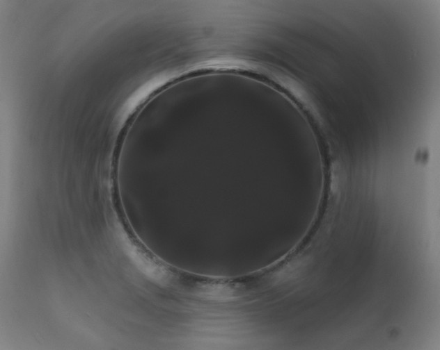 X0000111461229200907131447