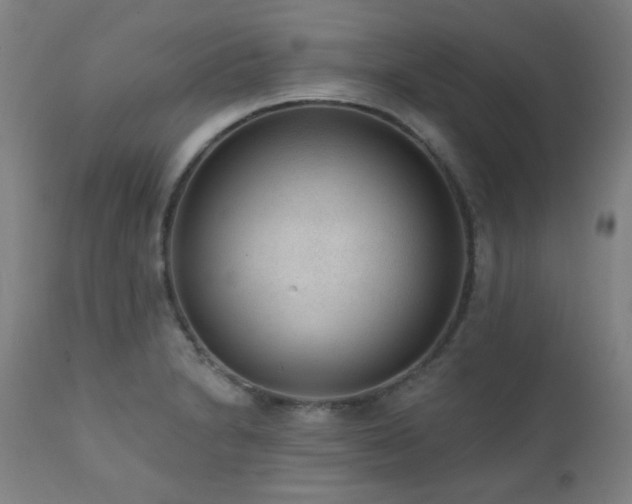 X0000111461230200907131447