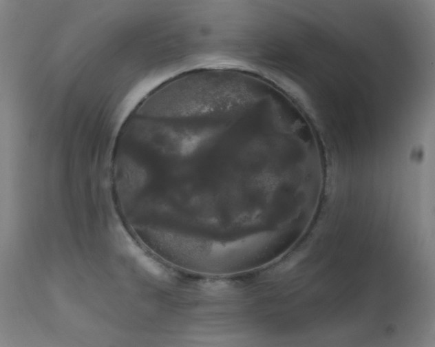 X0000111461231200907131447