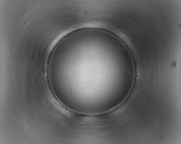 X0000111461232200907131447