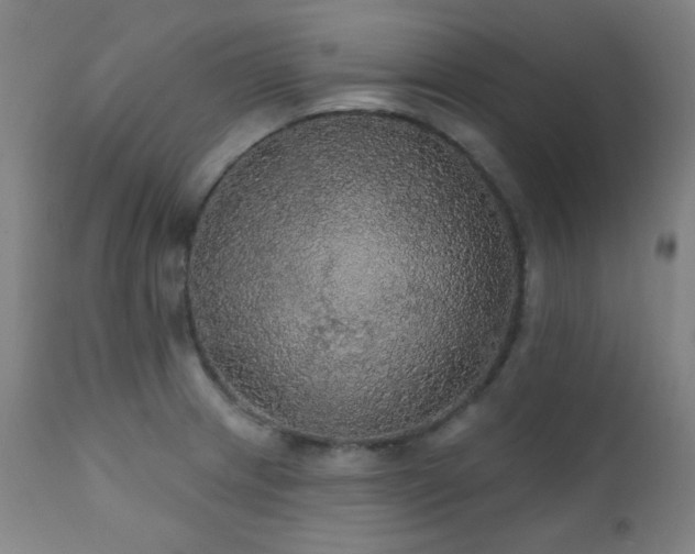 X0000111461233200907131447