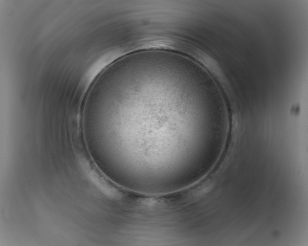 X0000111461234200907131447