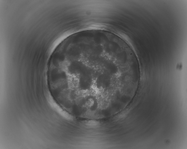 X0000111461235200907131447