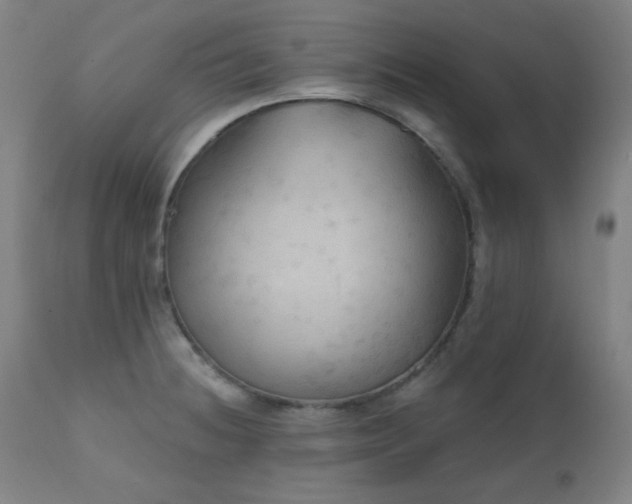 X0000111461236200907131447