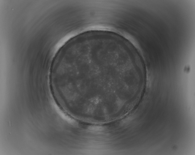X0000111461237200907131447