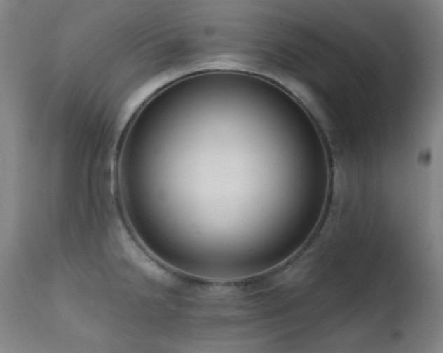 X0000111461238200907131447