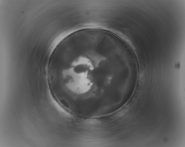 X0000111461239200907131447